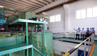 农行“金融活水”浇灌明月海藻“海洋之花”