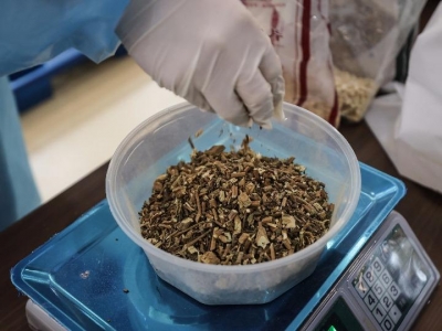 500多位业界精英论道，搭建医养健康新平台！首届中国医药财富大会落户青岛