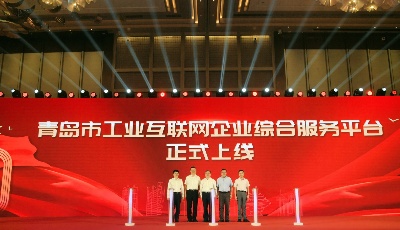 卡奥斯:在“共生”中赋能工业互联网