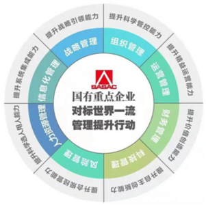双星入选国务院国资委管理“标杆企业”，橡胶行业、青岛唯一