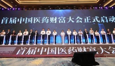 首届中国医药财富大会：产业携手金融 探寻医药产业投资新风口