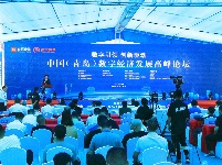 數(shù)字引領(lǐng)　創(chuàng)新驅(qū)動(dòng)   中國（青島）數(shù)字經(jīng)濟(jì)發(fā)展高峰論壇開幕