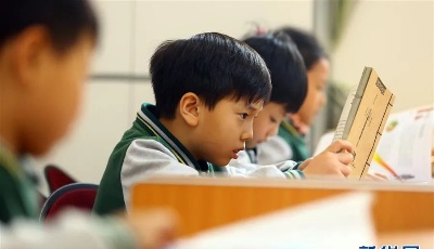 8月2日起，青岛各小学试点暑期托管服务，收费标准公开