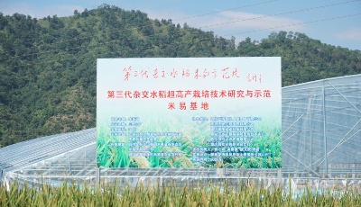 1085.99公斤！第三代杂交水稻单季亩产创新纪录
