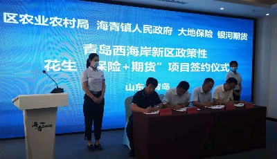 山东省首例花生期货价格保险落地西海岸新区—— “保险+期货”助“小花生”成就乡村振兴“大产业” 