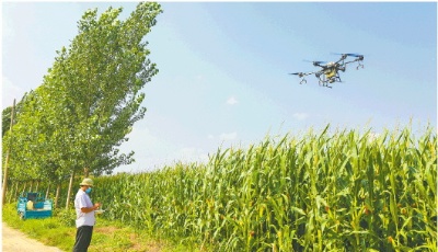 农业“芯片”领域频破纪录，山东如何做到的