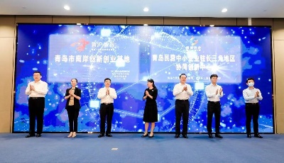 青沪携手共进 引领“专精特新”创新发展