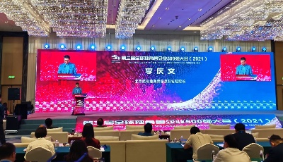 全球独角兽榜单发布！入榜企业数量青岛排名全球第七 中国第五