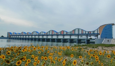 總投資1.627億元 北膠萊河新河蓄水防潮閘除險加固工程順利通過驗收