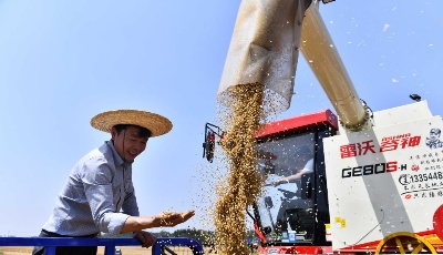 首个农业总产值过万亿元省份是如何炼成的？