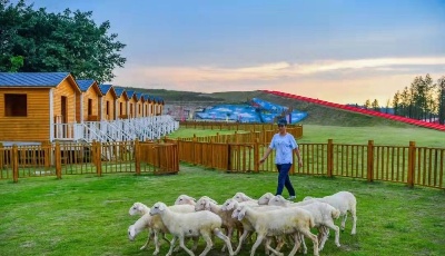 一航局二公司承建   廣安萬頭湖羊養(yǎng)殖基地正式開園      
