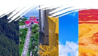 这就是山东丨调色板里的生态山东