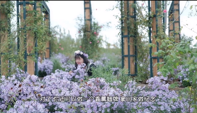 這就是山東·青島 |佩佩帶你去旅行——去阿朵花嶼小鎮(zhèn)體驗(yàn)仙境古唐