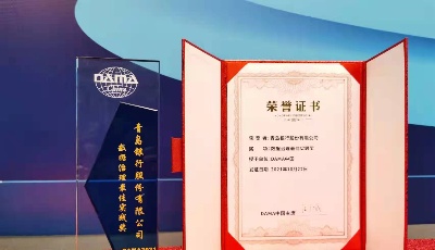 在实践中打磨数据“治”道!青岛银行荣获DAMA中国数据治理最佳实践奖