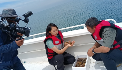 《远方的家》系列节目《行走海岸线》山东段即将开播  