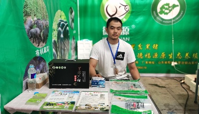 返乡创业“逆行者” 赵中铭：让“里岔黑猪”名号更响亮