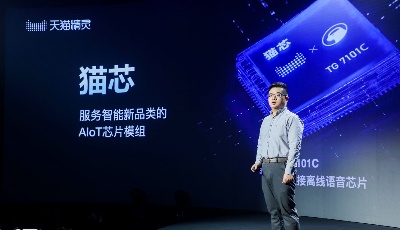天猫精灵发布“猫芯”，多颗芯片已置入双十一60余款新品中 
