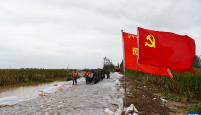 这就是山东•战秋汛 | 山东：筑牢黄河防汛安全堤