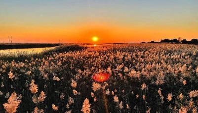 潮头观澜丨擘画黄河 国之大者