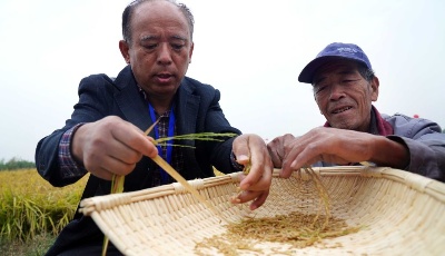 "齐"心"鲁"力|山东：“外引内育”打造乡村振兴人才高地