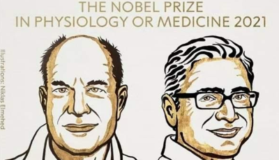 2021年诺贝尔生理学或医学奖公布 两位科学家获奖 