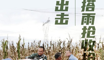 这就是山东•战秋汛丨勠力同心！雨后抢收力保颗粒归仓