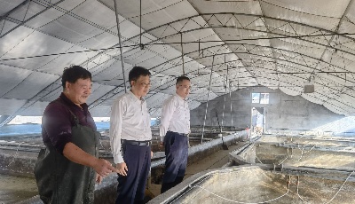 青岛农商银行：加速创新，助力乡村振兴提速