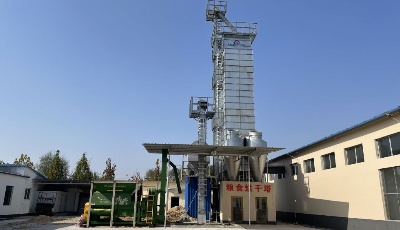 "齐"心"鲁"力|起南村的“三万”粮田梦