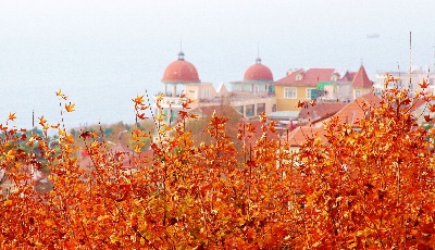山东修订计生条例征求意见，拟增加配偶陪产假、增设育儿假