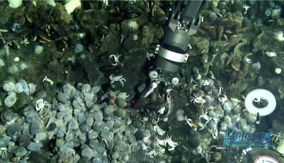 这就是山东·云上打卡最美海岸线丨探索深蓝奥秘！跟着“蛟龙号”去看“海底两万里”的神奇