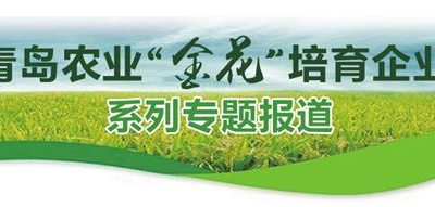 天祥食品：壮大农业产业集群 助力乡村振兴战略