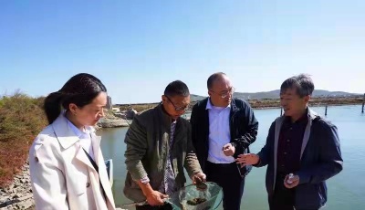 农行金融服务“组合拳”助力小海参成就大产业