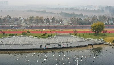 初冬时节，这片湿地美如画卷
