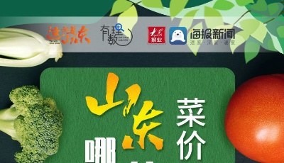 这就是山东丨菜价回落，山东付出了哪些努力？