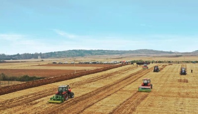 光明日报关注济南节粮减损：手里有劲心里美，来年还要多种粮