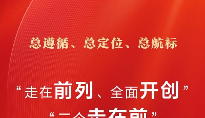 9张海报带你读懂中共山东省委十一届十四次全体会议公报
