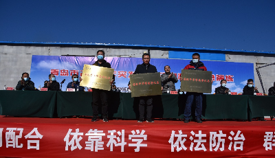 青島市舉辦省級布病凈化縣、凈化場授牌儀式