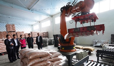 “小”花生里有“大”情谊 青岛农行助力旭光食品增产更增收