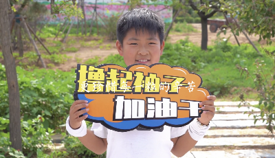 舌尖上的青島農(nóng)品之豐收篇 