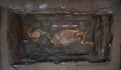 重大考古发现！真正的汉文帝陵找到了