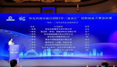 共绘蓝图，直上青云：西海岸新区2021年“青蓝汇”创新创业大赛决赛圆满落幕