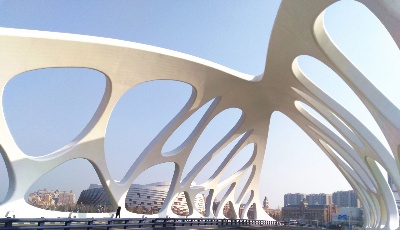 奋力打造交通强国山东示范区青岛先行区——青岛市交通运输系统深入学习贯彻党的二十大精神