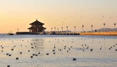 新华社评出2021年国内十大新闻