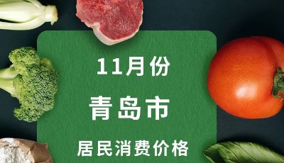 11月份青島市CPI同比上漲2.8%