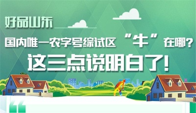 好品山东｜国内唯一农字号综试区“牛”在哪？这三点说明白了！