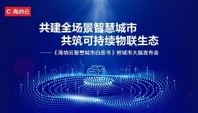 《海纳云智慧城市白皮书》暨海纳云城市大脑正式发布，点燃数字经济发展强引擎