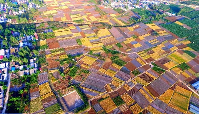 2022年山东省政府工作报告（全文）