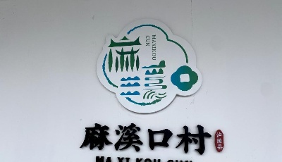 新春走基层丨湘西小山村LOGO里的振兴期盼