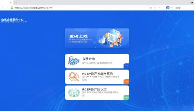 服务工具升级！RCEP外贸实务查询系统助企抢抓新机遇