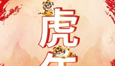 你知道吗？即将到来的壬寅虎年有355天